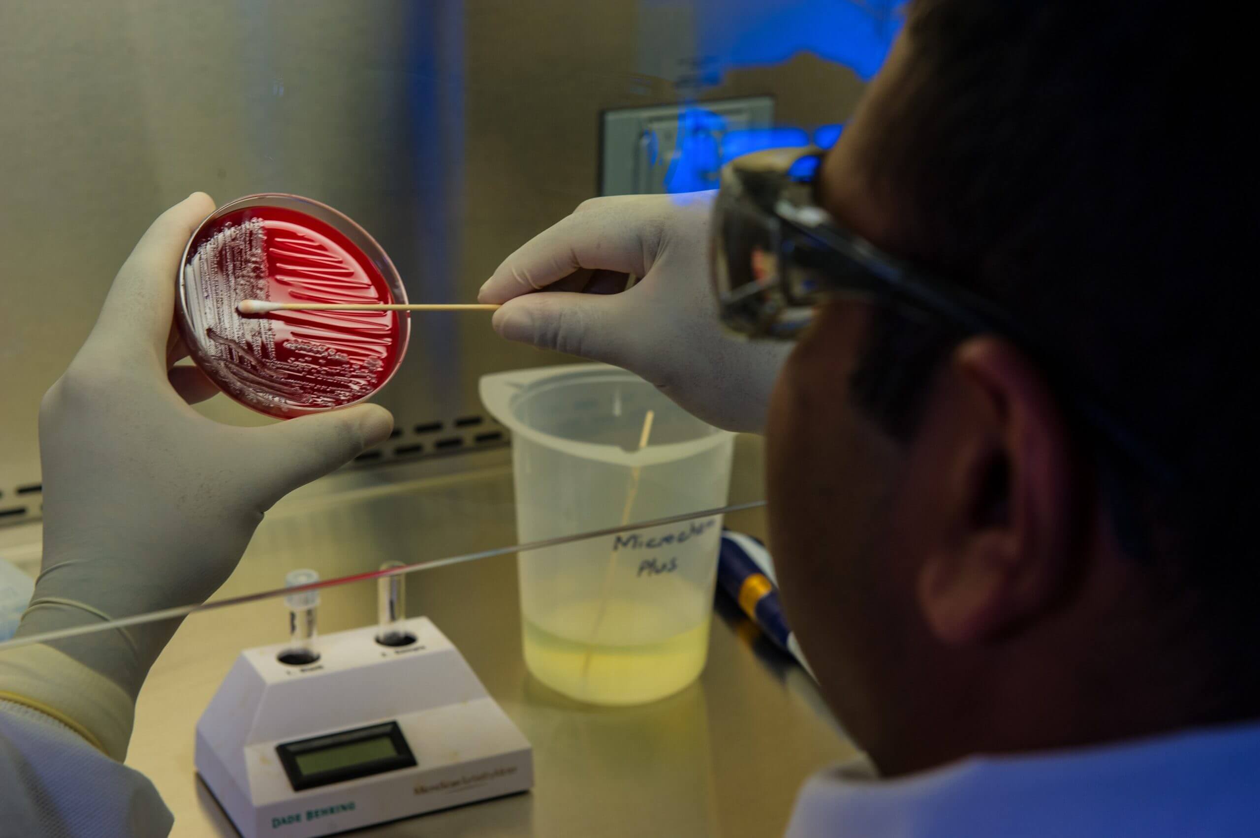 Es stimmt nicht, dass sich bis zu 90 Prozent der positiven PCR-Test-Ergebnisse in den USA als falsch erwiesen haben.