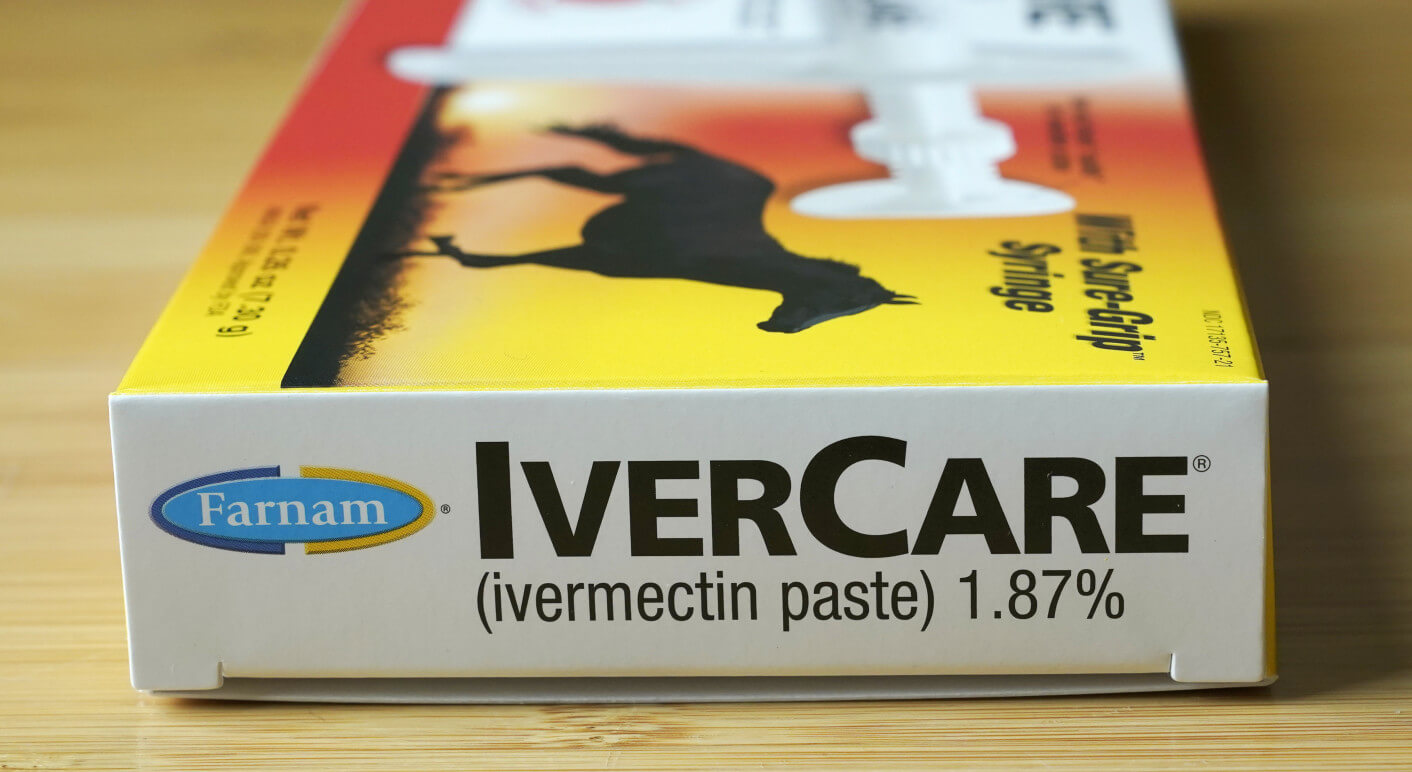Ivermectin ist eigentlich ein Mittel, das vor allem gegen Parasiten und zur Entwurmung bei Pferden und Rindern eingesetzt wird (Symbolbild: Picture Alliance / Associated Press / Ted S. Warren)